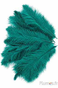 Strauss - 30-40 cm - jade